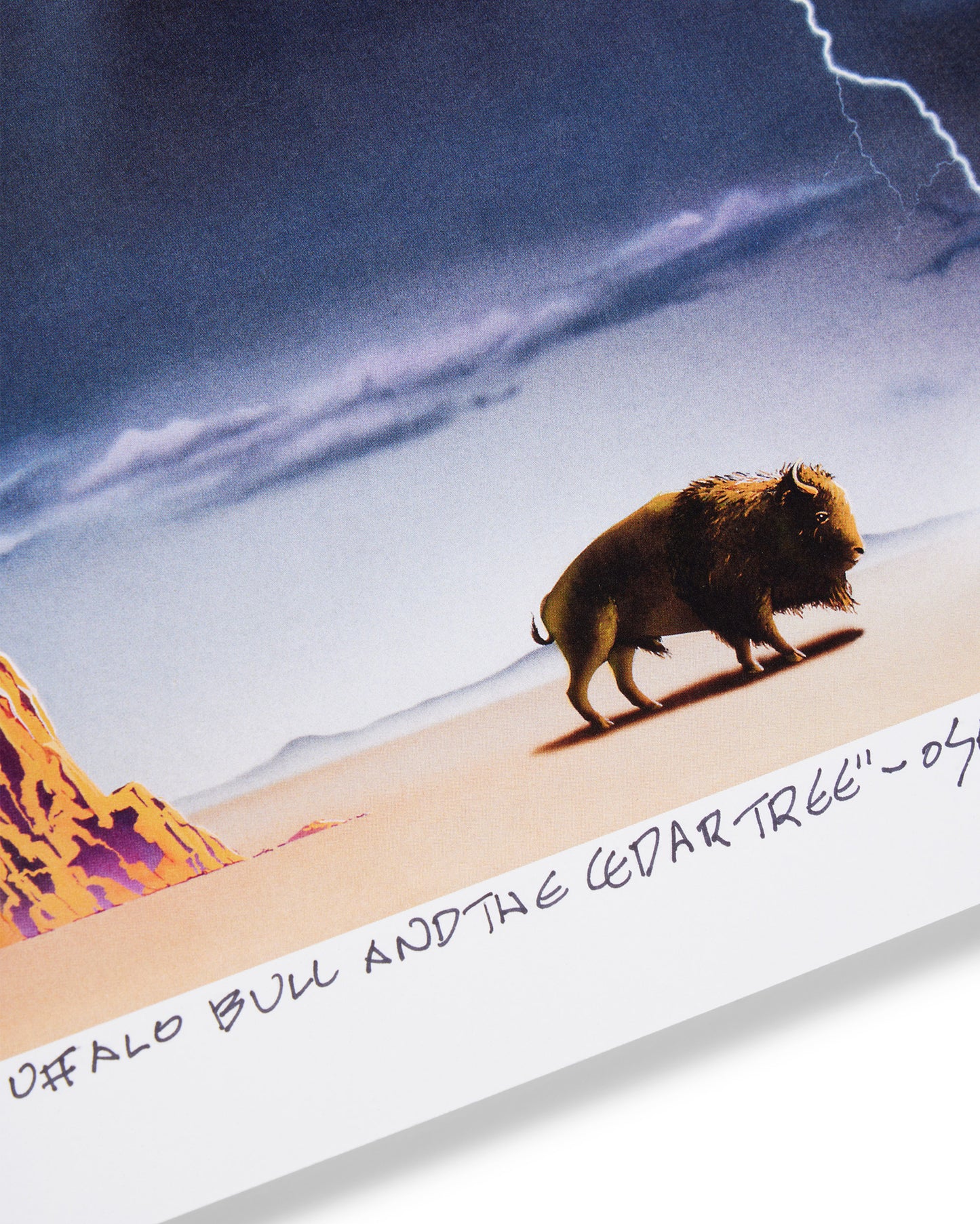 The Buffalo Bull and the Cedar Tree - Osage